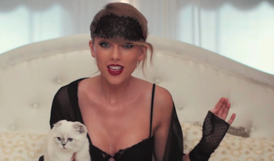 Звездные питомцы, которые живут роскошнее, чем многие из нас