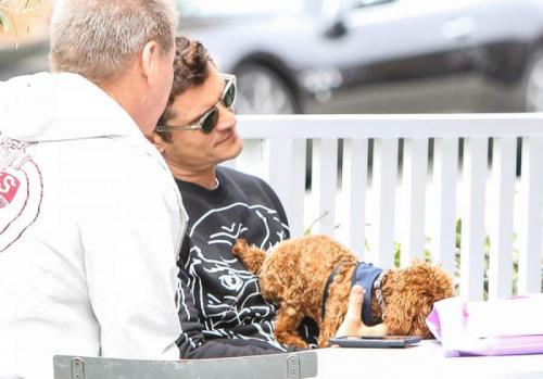 Звездные питомцы, которые живут роскошнее, чем многие из нас