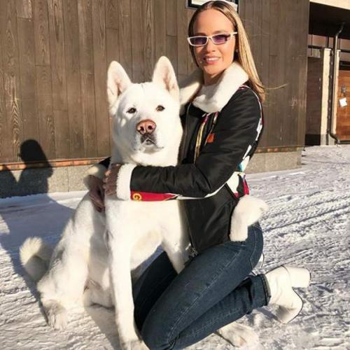 Звездные питомцы, которые живут роскошнее, чем многие из нас