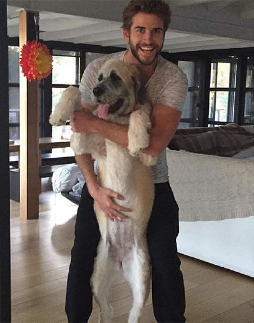 Звездные питомцы, которые живут роскошнее, чем многие из нас