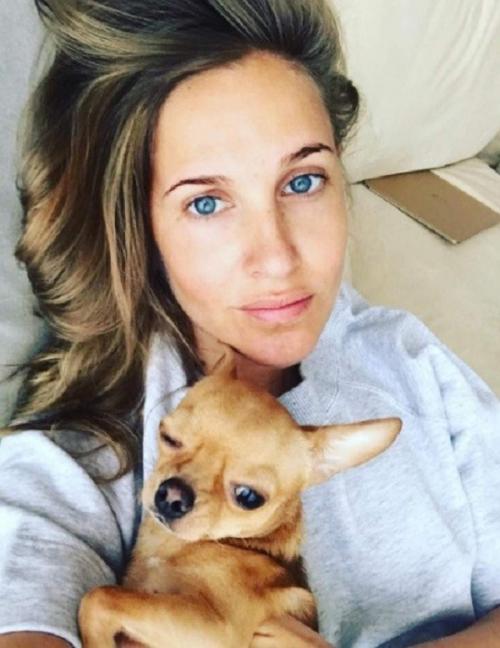 Звездные питомцы, которые живут роскошнее, чем многие из нас