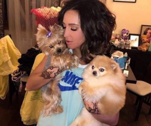 Звездные питомцы, которые живут роскошнее, чем многие из нас