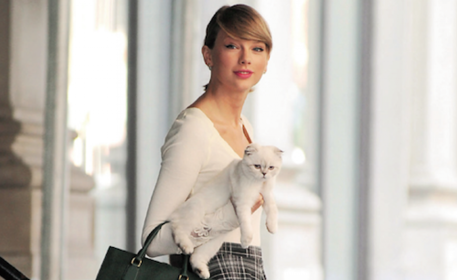 Звездные питомцы, которые живут роскошнее, чем многие из нас