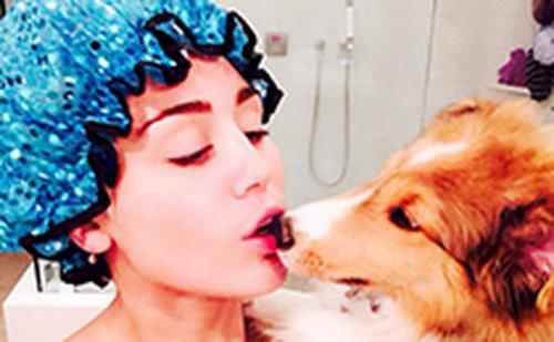 Звездные питомцы, которые живут роскошнее, чем многие из нас