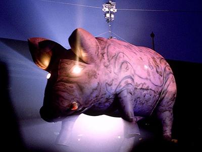 Топ-10 занимательных фактов о турах поп-звезд