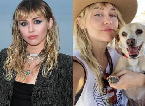 15 звездных красоток, которые не побоялись показать себя без макияжа