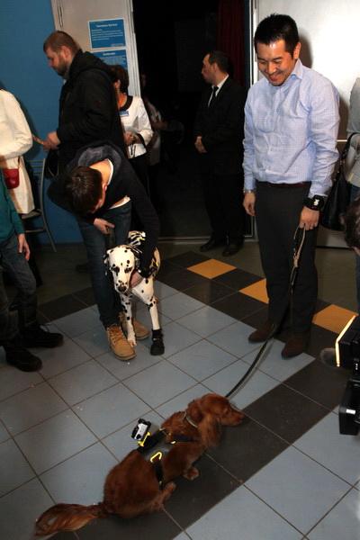 Андрей Мерзликин подарил «лохматые ёлки» своим детям