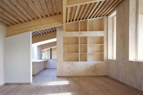 В Бельгии за 8 лет вырастили дом-сад