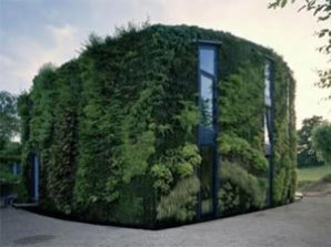 В Бельгии за 8 лет вырастили дом-сад