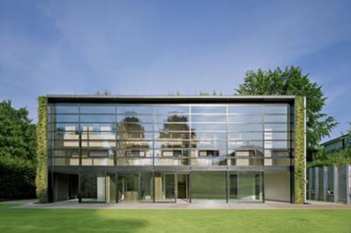 В Бельгии за 8 лет вырастили дом-сад