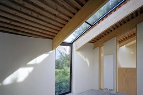 В Бельгии за 8 лет вырастили дом-сад