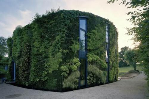В Бельгии за 8 лет вырастили дом-сад