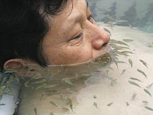 Ванна с рыбами-«людоедами» лечит и омолаживает