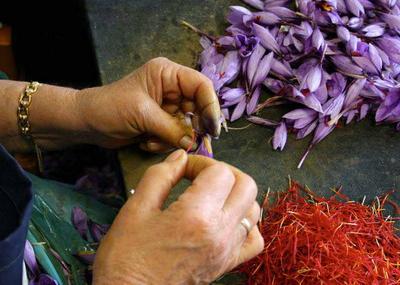 Сладкая жизнь: самые дорогие продукты в мире