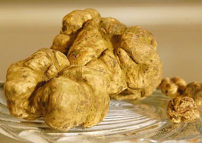 Сладкая жизнь: самые дорогие продукты в мире