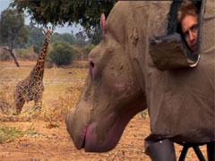 Натуралист чуть было не стал жертвой гиппопотама