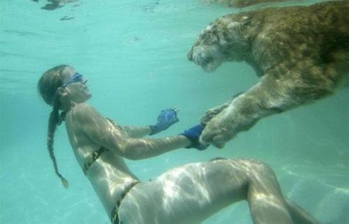 «Группа в полосатых купальниках» развлекает публику в Южной Каролине