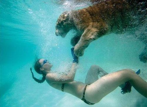 «Группа в полосатых купальниках» развлекает публику в Южной Каролине