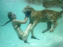 «Группа в полосатых купальниках» развлекает публику в Южной Каролине