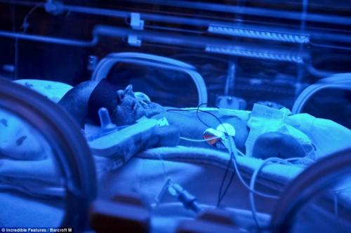 Самая маленькая мама в мире родила сына