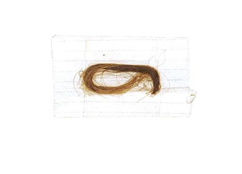 Самые парадоксальные вещи, проданные с аукциона