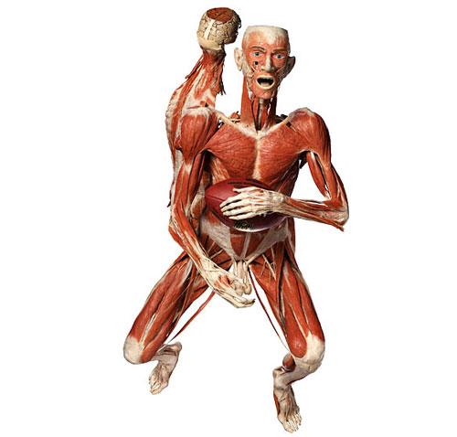 «Адская выставка» вернулась в "Alma mater"