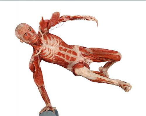 «Адская выставка» вернулась в "Alma mater"