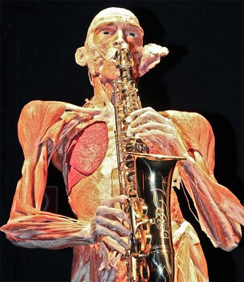 «Адская выставка» вернулась в "Alma mater"