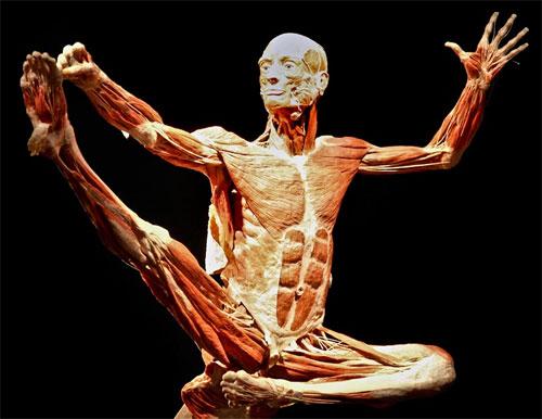 «Адская выставка» вернулась в "Alma mater"