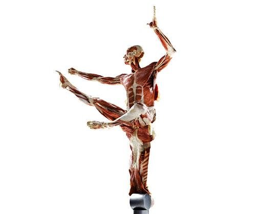 «Адская выставка» вернулась в "Alma mater"