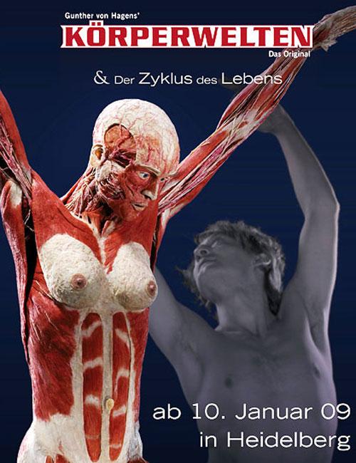 «Адская выставка» вернулась в "Alma mater"