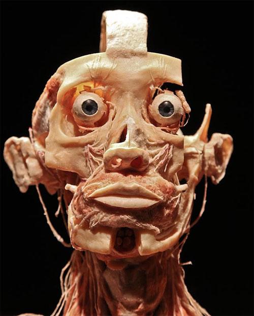 «Адская выставка» вернулась в "Alma mater"