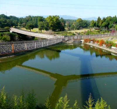 Самые необычные мосты мира