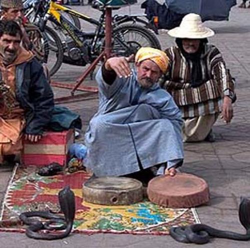 В Индии прошёл фестиваль заклинателей  змей