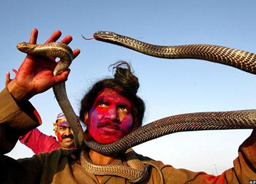 В Индии прошёл фестиваль заклинателей  змей