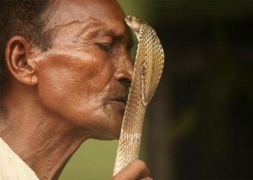 В Индии прошёл фестиваль заклинателей  змей