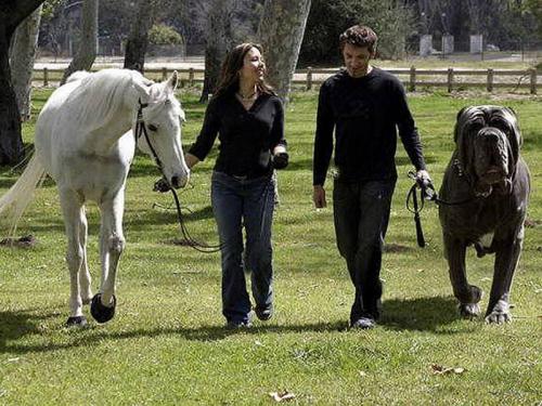 20 фотофальсификаций, которые облетели весь мир