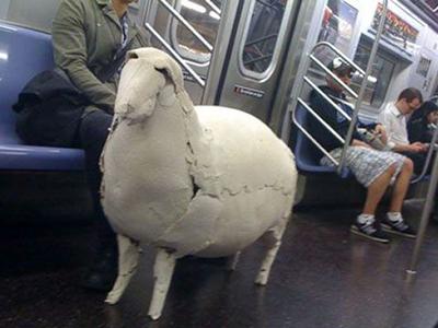 Странные пассажиры общественного транспорта. Часть 2