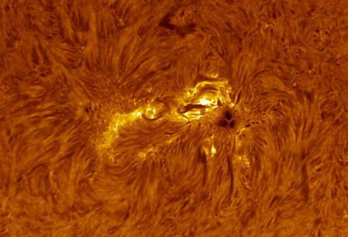 Удивительные снимки поверхности солнца