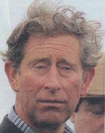 Физиогномисты: что можно сказать о знаменитостях по их лицу