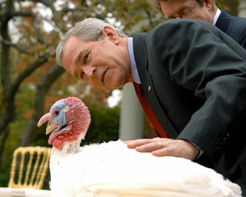 Политики в необычном ракурсе