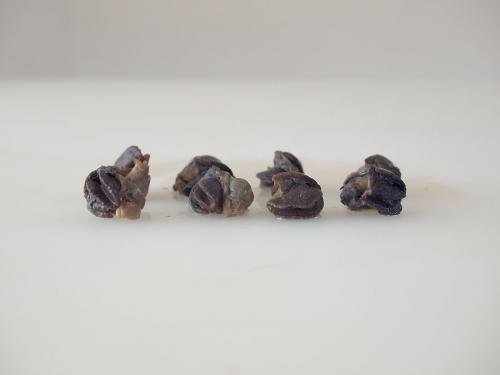 Что можно купить за один доллар