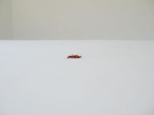 Что можно купить за один доллар