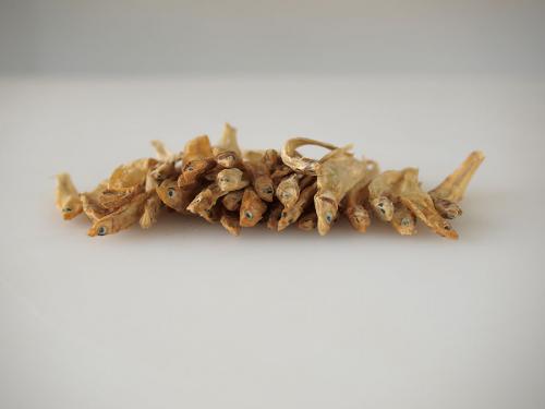 Что можно купить за один доллар