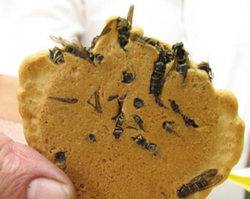 Экзотические деликатесы, которые сложно съесть не зажмурившись