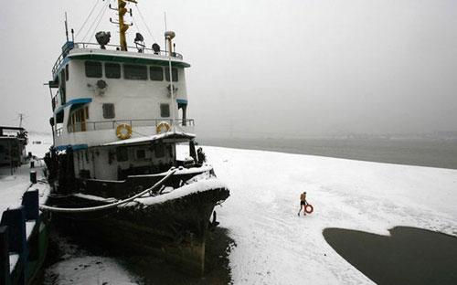 Самые нашумевшие кадры 2008 года