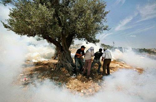 Самые нашумевшие кадры 2008 года