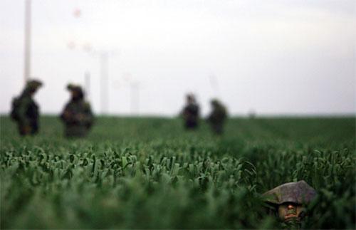 Самые нашумевшие кадры 2008 года