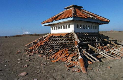 Самые нашумевшие кадры 2008 года