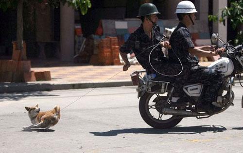 Самые нашумевшие кадры 2008 года